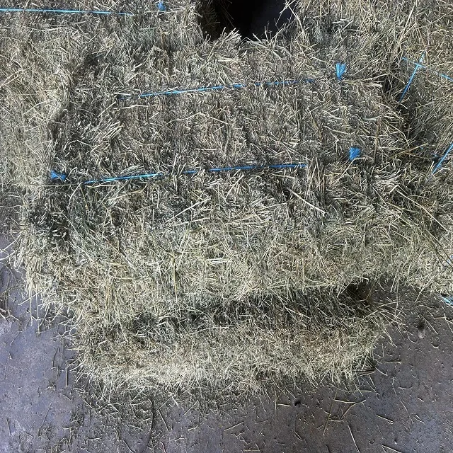 High-Quality Alfalfa and Timothy Hay for Animal Feed - Buy in Bulk with Fast Shipping and Discounted Prices