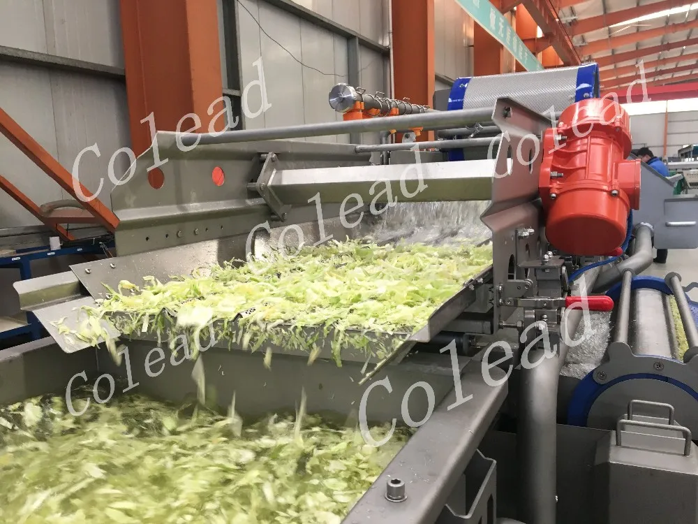 Vegetable Leaf Rotary Washing Machine for salad processing line