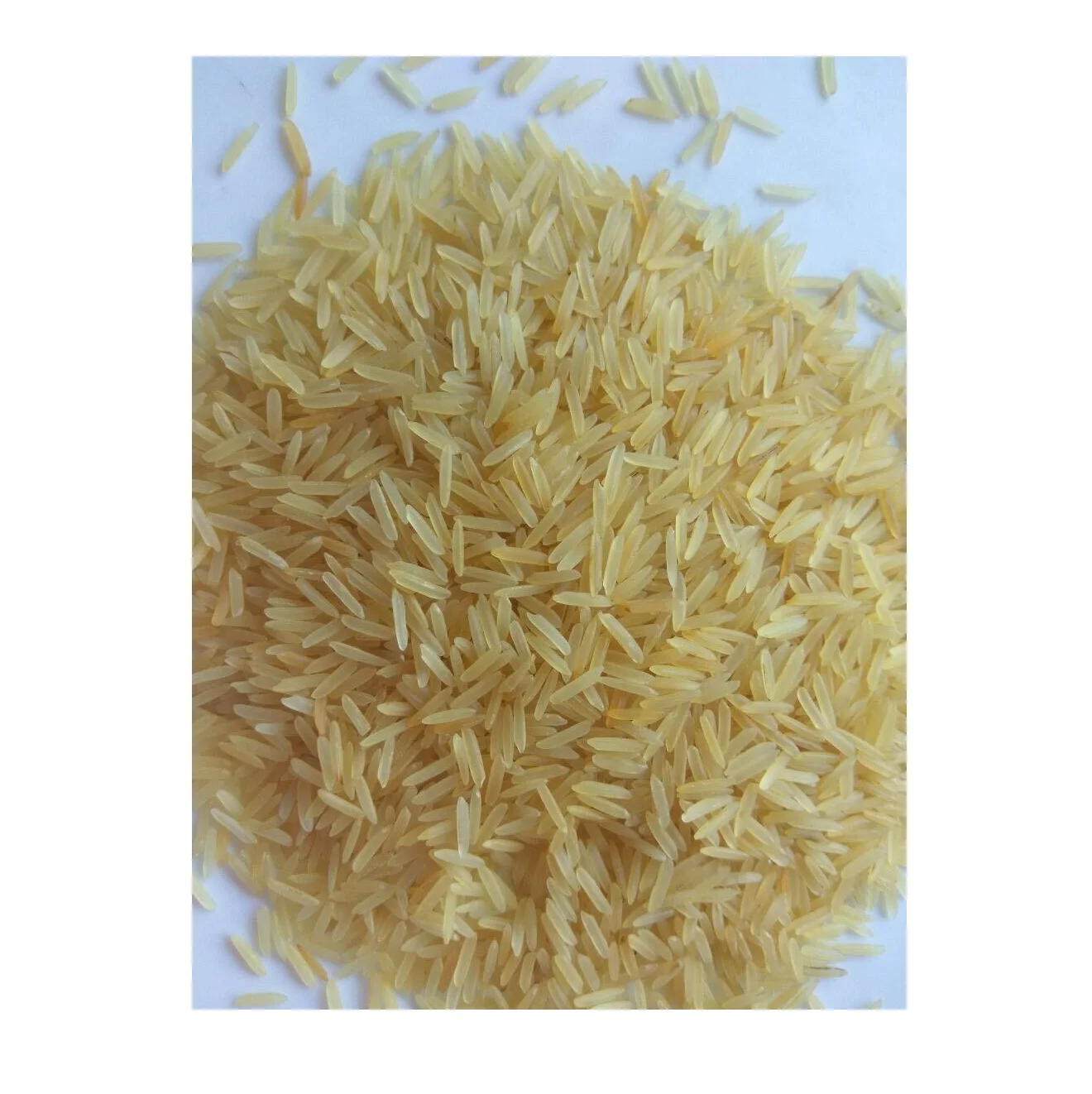 Direct Factory Supply 1121 Golden Sella Basmati Rice Wholesale Rate 1121 Golden Sella Basmati Rice Available at Best Price