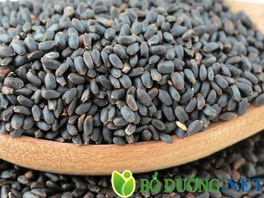Basil Seeds