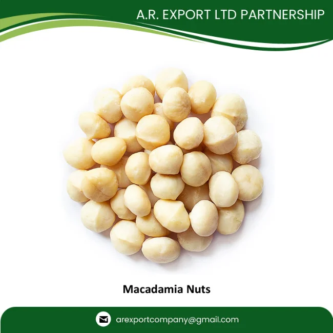 Macadamia Nuts, Roasted Macadamia, Organic Macadamia Nuts Available in Huge Quantity with Export Grade AA Packaging