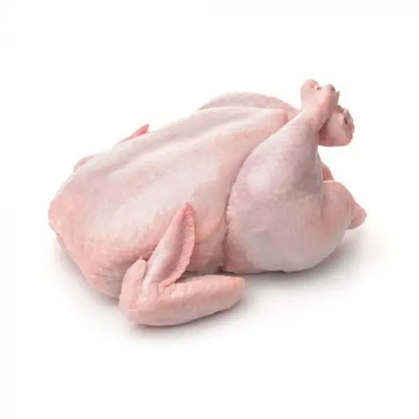 Hala Frozen Chicken Wings Fresh Poultry Meat Bulk Supply Low Price Chicken Wings Poultry Meat In Stock