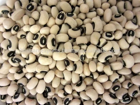Factory Direct Sale Black Eyed Beans Grains Top Selling Black Eyed Beans Grains / White Kidney Supplier From India