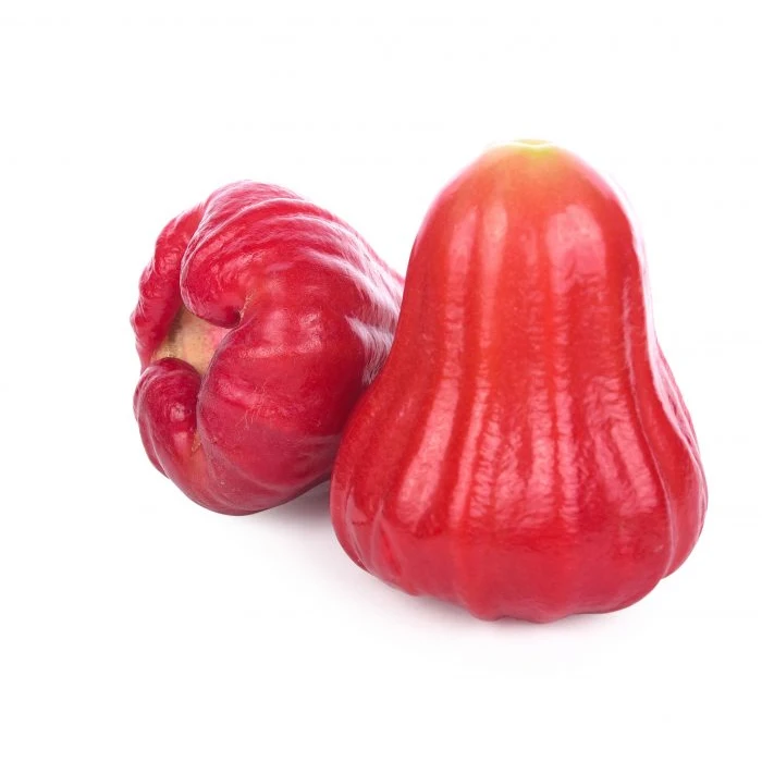 VIETNAMESE ROSE APPLE FRESH HARVEST SWEET FLAVOR HEALTHY EXOTIC FRUIT