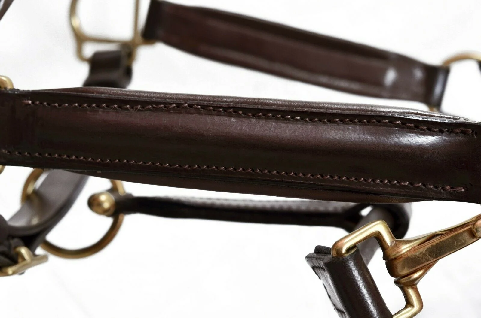Best Buy Wholesale Equestrian Horse Leather Headcollar Halter Custom Brown Havana Color Softy Padded Solid Brass Fittings