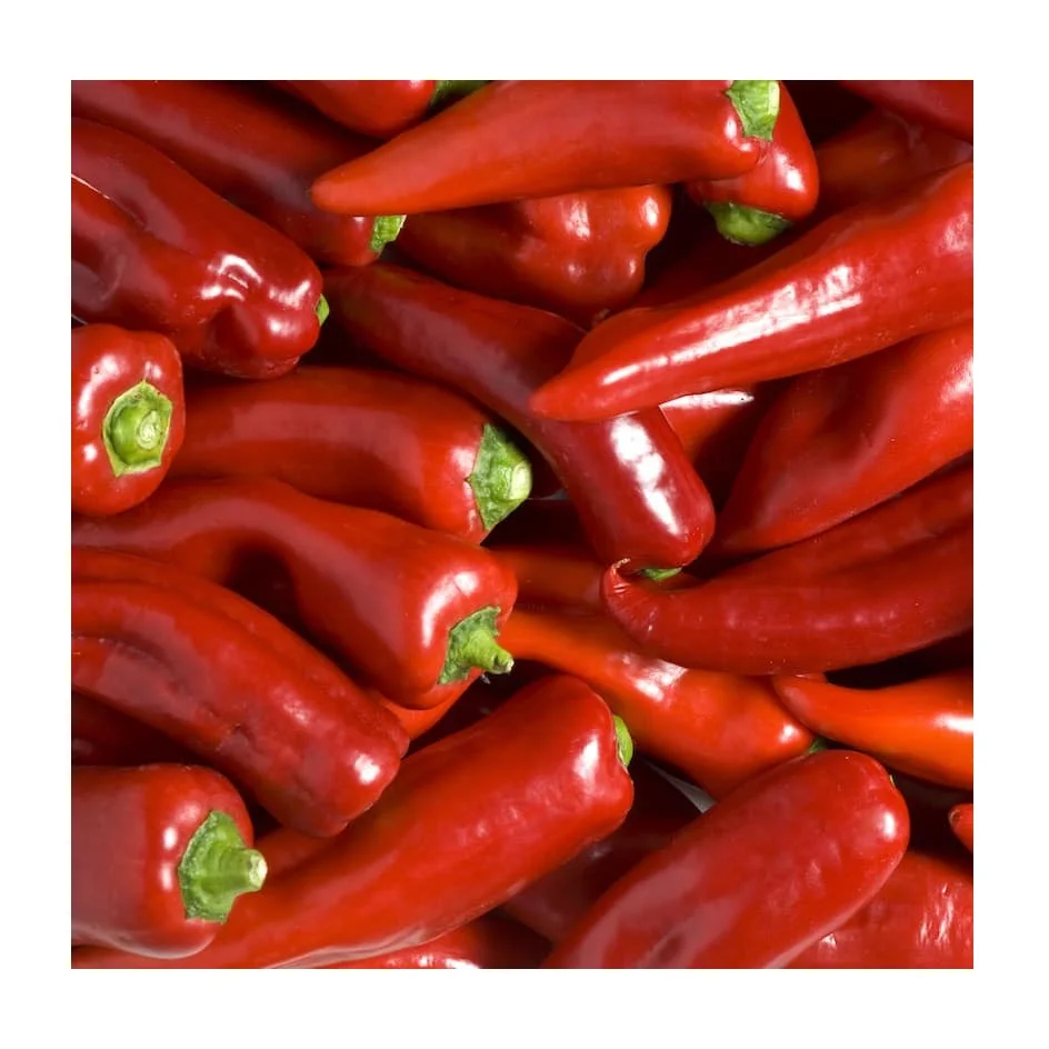 Fresh Red Chilli Pepper/ Dried Chili Seasoning Mixed Spices