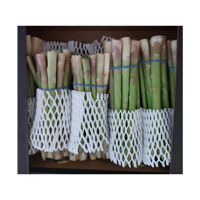 Bulk Good Quality Hot Sale 100% Natural Green Fresh Vegetables Asparagus from Egypt at Wholesale Price