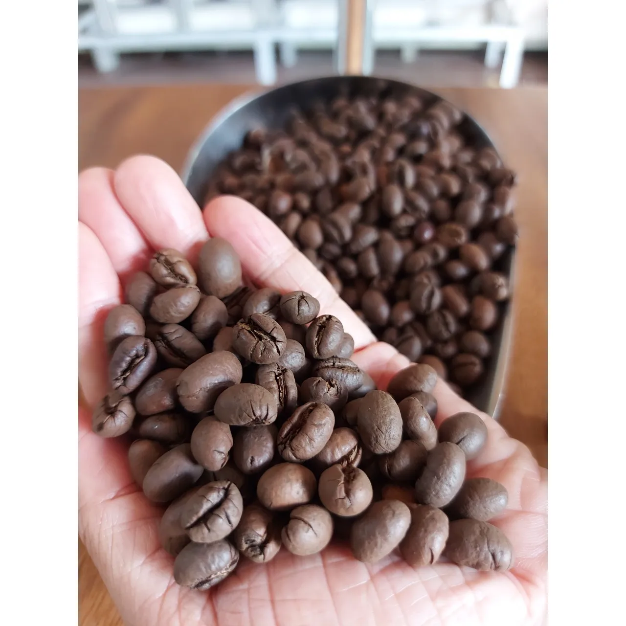 Wholesale Trading Culi S18 Roasted Carpentry Coffee Beans Order Roast High Quality