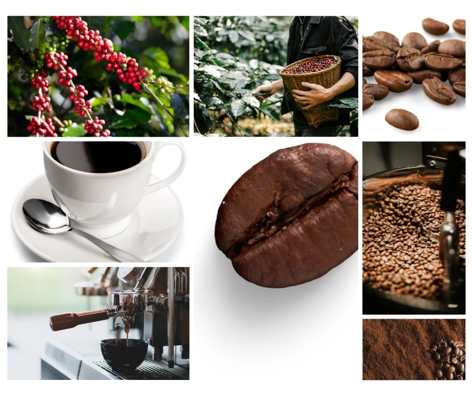 Hot Product - Coffee Powder- 250g 100% Natural Powder Instant Coffee Powder by Vinut Trust in Viet Nam Factory