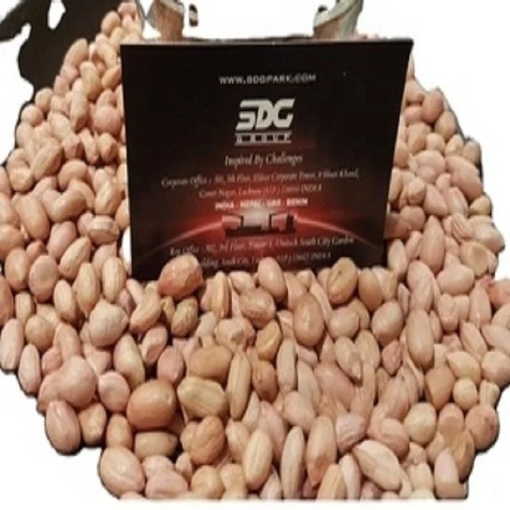 Premium Quality Java Peanut 80 90 Count Bulk Exporter Supreme  High Protein Raw Peanut Kernels Peanut  at Low Price from India