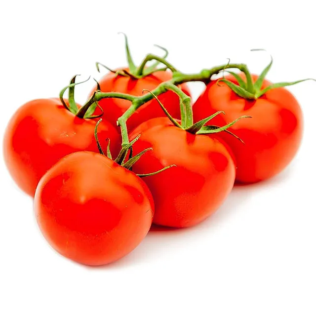 Fresh Tomatoes/canned Tomato Paste Tin Tomato Paste Sachet/high Quality Tomato Paste Red Indian Round Cooking Tomato Seeds 10 Kg