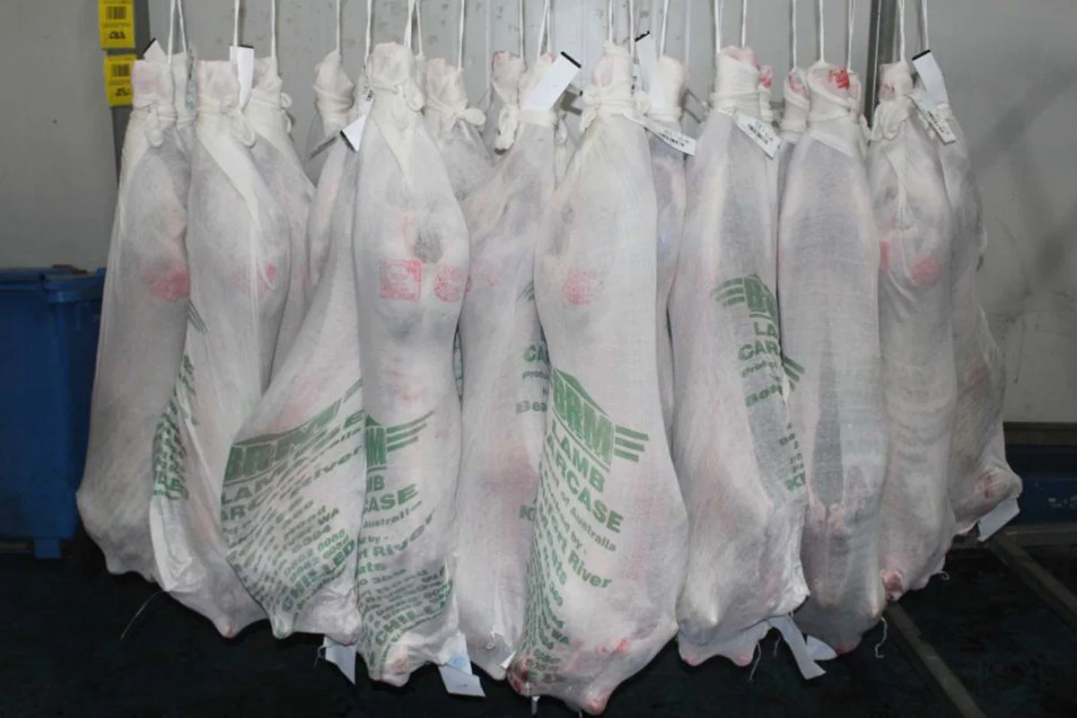 Lamb carcass fresh meat wholesale prices whole lamb carcasses for sale