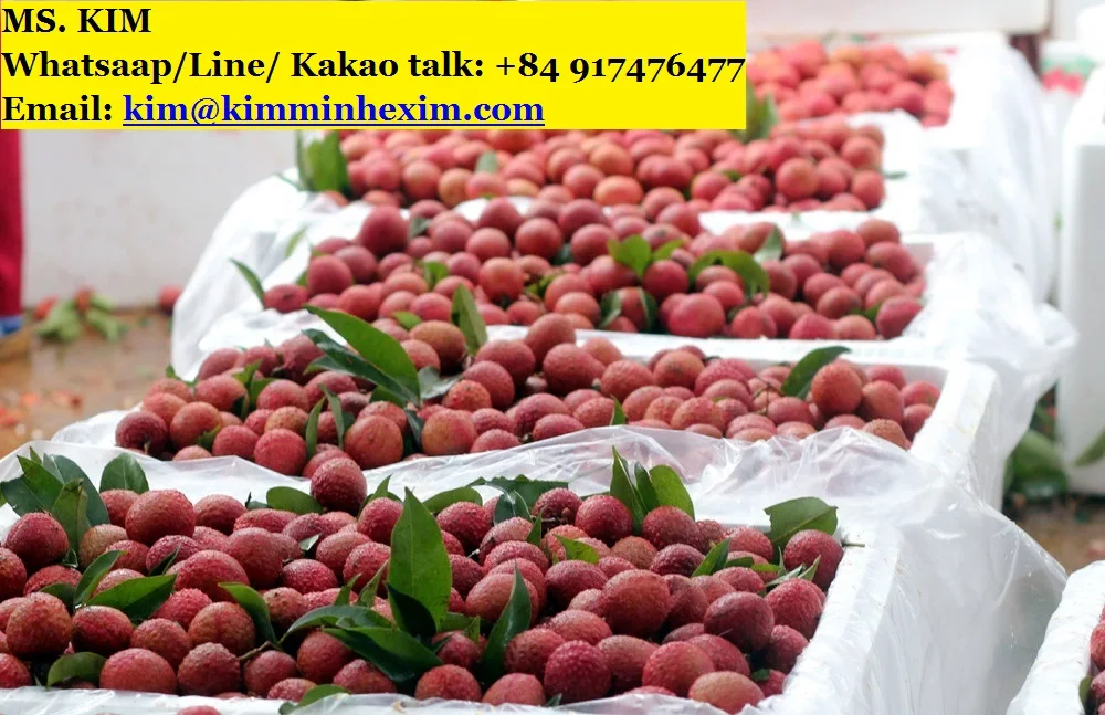 KME Seller  good quality Lychee Fruit at cheap price -- HP 0084 917 476 477