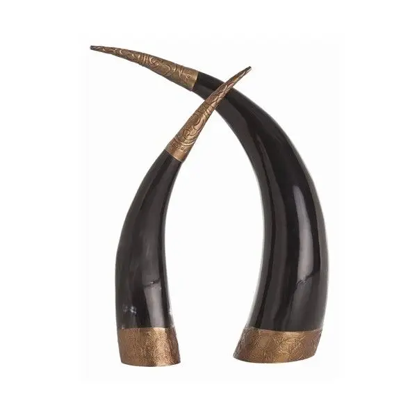 Ram Horn / Finished Ram Horn / Raw Ram Horn Stocked for home decoration from India manufacturer in reasonable price
