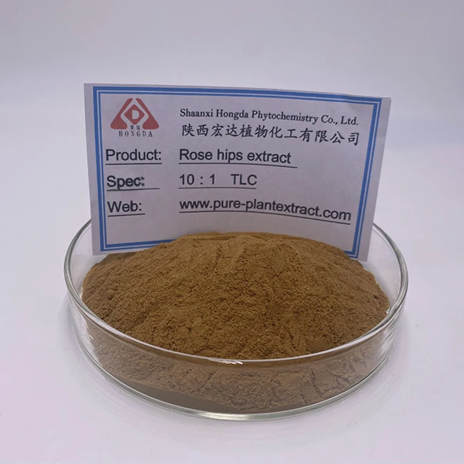 Factory Rosehip Fruit Extract Powder Rose Hip Powder Rosehip Powder