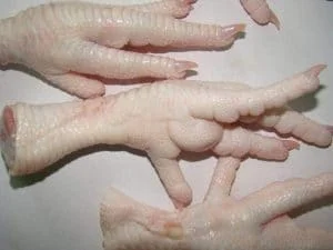 Halal Frozen Chicken Feet/Paw Exporters