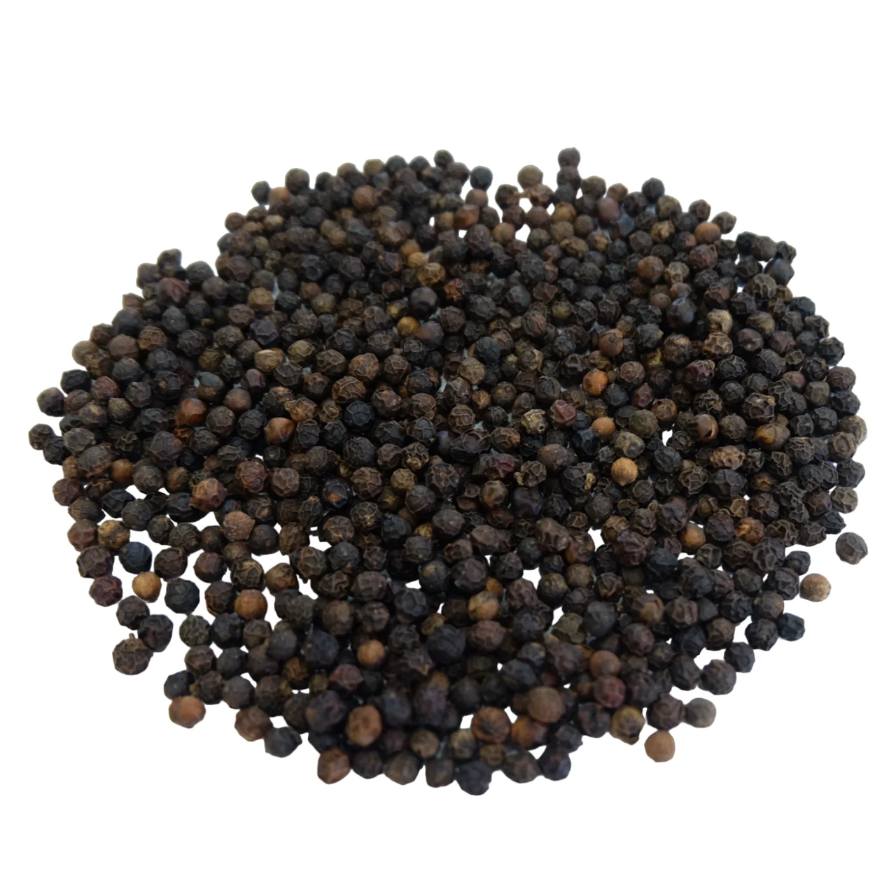 Vietnam Spices Black Pepper 500, 550, 570, 580g/L Asta Standard Great Taste Black Pepper For Exporting