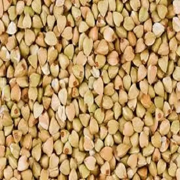 natural non-GMO buckwheat bulk buckwheat good price