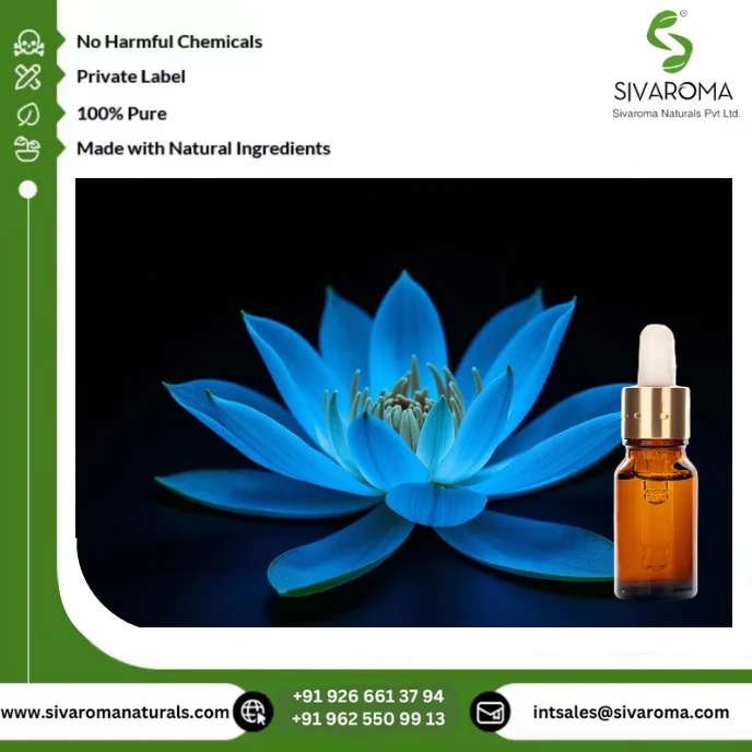 Elevate Your Product Line with Premium Blue Lotus Absolute Oil for Aromatherapy and Perfumery Needs