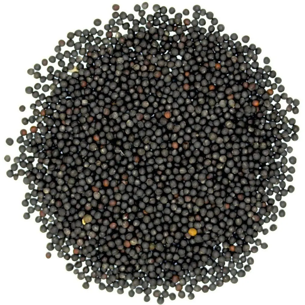 Premium Excellent Quality Rapeseed Meal Canola Seed for sale