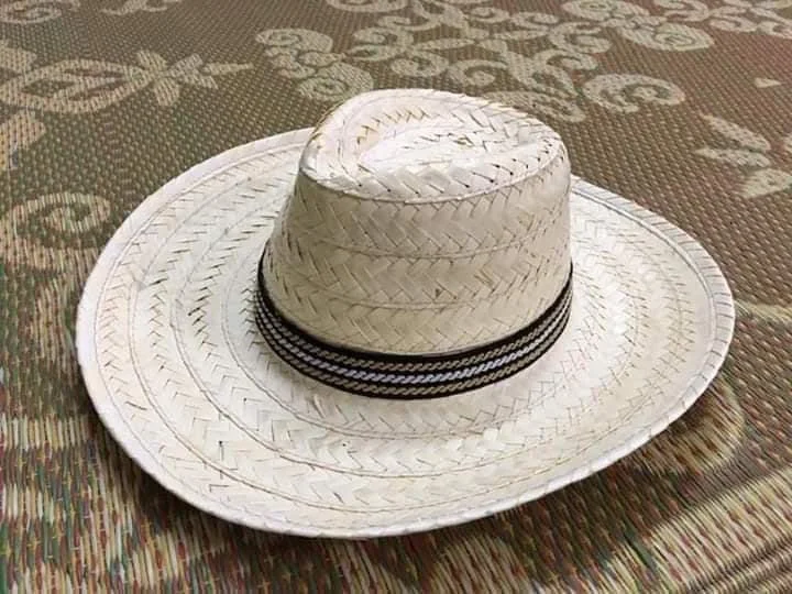 Biodegradable Custom Straw Hat With Custom Logo/ Straw Hats For Women/ Straw Hats For Men In Vietnam By Eco2go Vietnam