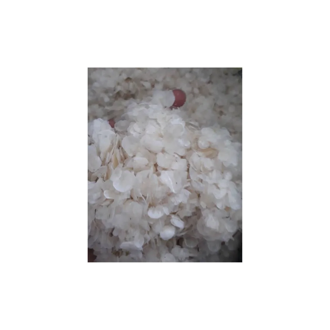 DRIED SEABASS FISH SCALE - FISH BY-PRODUCT SCALE FOR EXPORTING