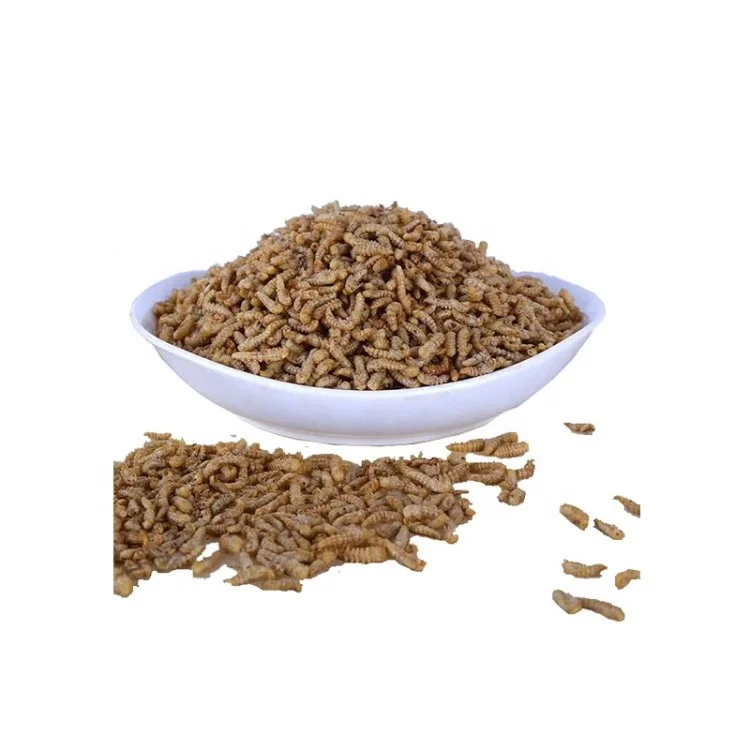 Wholesale custom private label silkworm pupae chrysalis feed silkworm feed grade yellow 25kg 25 tons dried grasshopper silkworm
