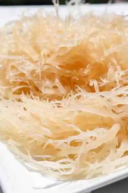 Ирландский сиамосс/сушеный морской мох
