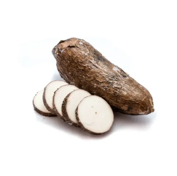 Выращивание маниоки зрелости Tapioca, конкурентоспособная цена, высокое качество, чипсы Tapioca, сушеные чипсы из маниоки, натуральная маниока