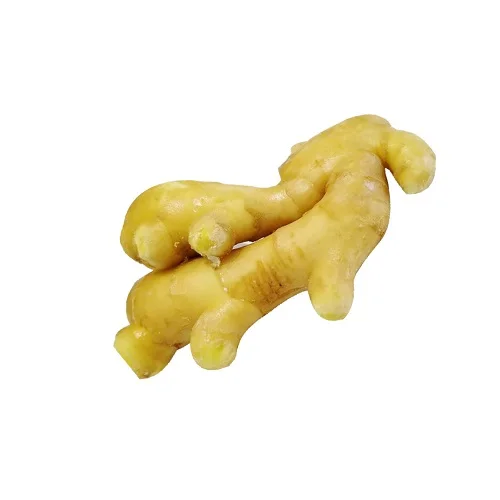 Best FRESH GINGER HIGH QUALITY CHEAP PRICE FROM Thailand