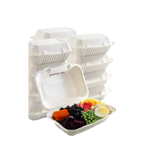 Modern Trending Disposable 9*6 9*9 Bagasse Burger Box Clamshell Natural for All Type of Events Packaging Food Trucks Travel