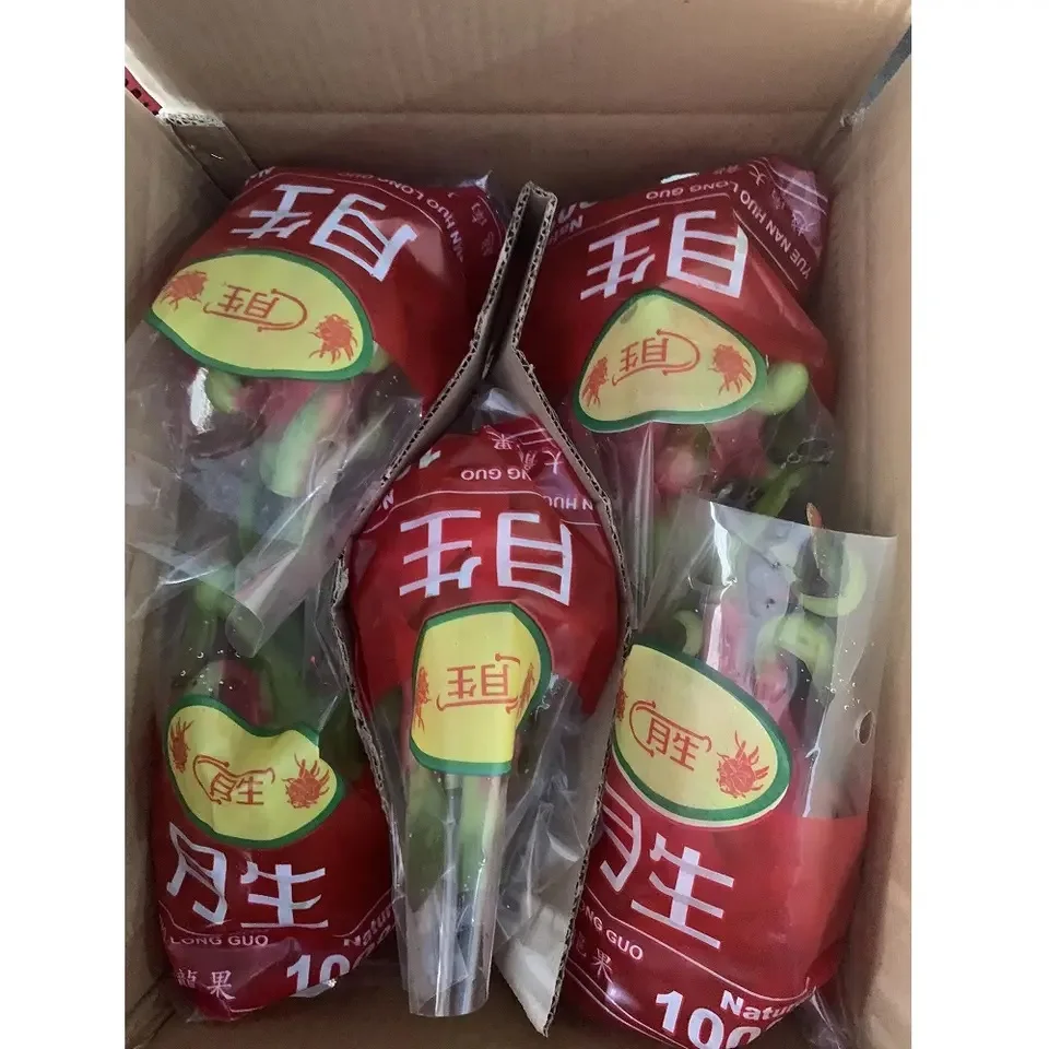 Vietnam 350g Dragon Fruit - Common Quality, Naturally Sweet, 100% Fresh, 6-Month Shelf Life