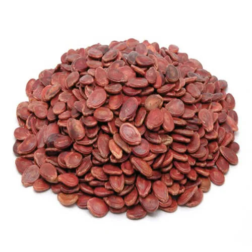 GOLDEN ROASTED MELON SEEDS / A CLASSIC CRUNCHY TREAT / MADE IN VIETNAM