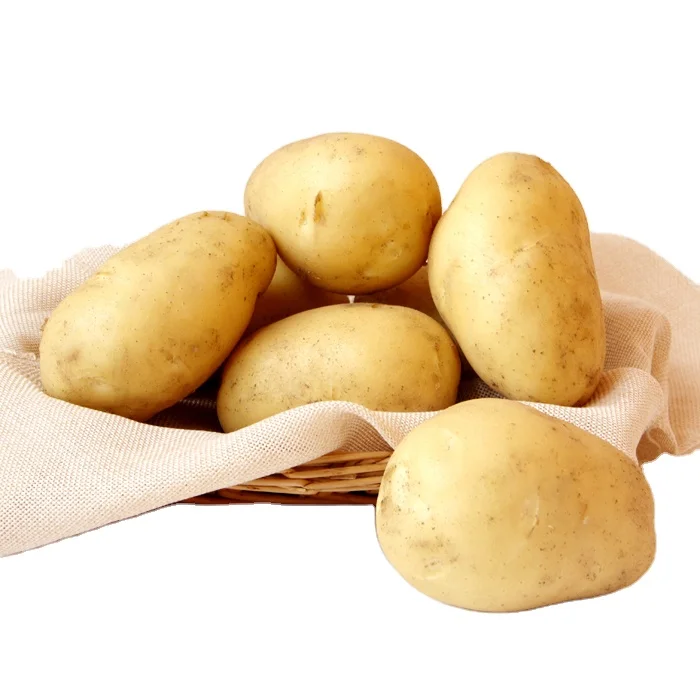 Hot Sale Low Price Sale Mesh Potato Packaging And Export Fresh Potatoes