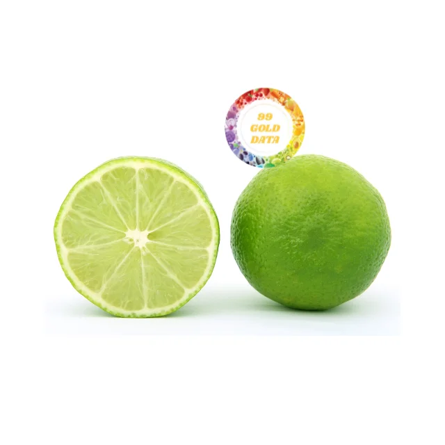 Buy High Quality Fresh Lemons in Bulk Affordable Prices Ready Stock for Retailers and Food Industries Worldwide