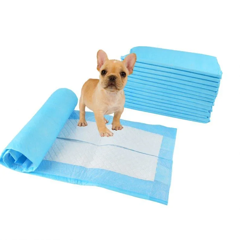 Extra Strong and Heavy Absorbent Core Pet Training Pee Pads Multi Layered Quick Absorbent Pee Pads for Sale from India