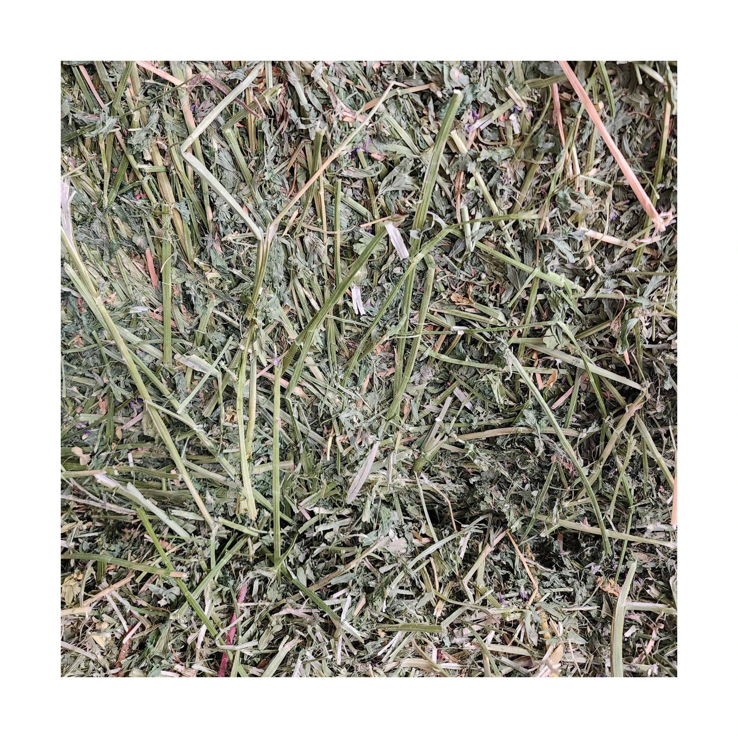 Mixed Hay Animal Feeding Stuff Alfalfa, hay/alfalfa hay pellets Timothy Hay/ Alfafa in Bales Best