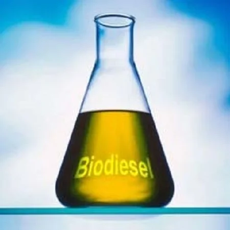Bio diesel can be mix petroleum diesel in any percentage, including B 100 (used alone) supplier India