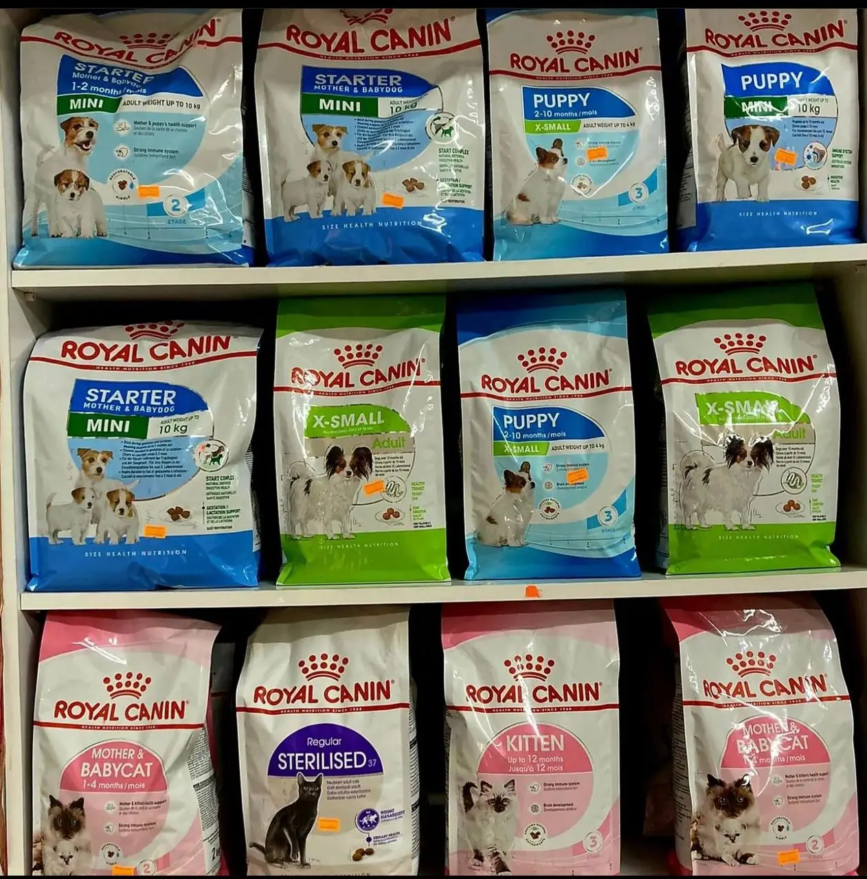 Best Pure Quality Royal Canin Medium Junior Dry Dog Food | Royal Canin Dog Food / Top Quality Royal Canin For Pets Export