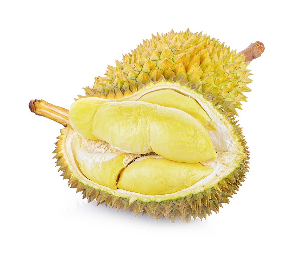 100% High Quality Fresh Delicious Vietnam Durian and Feeeze Durian
