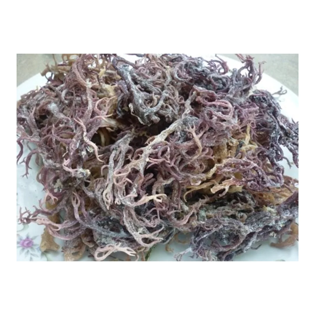 Белый/желтый/фиолетовый сушеные водоросли Eucheuma Cottonnii/Высококачественный сушеный ирландский морской мох для салата Seamoss