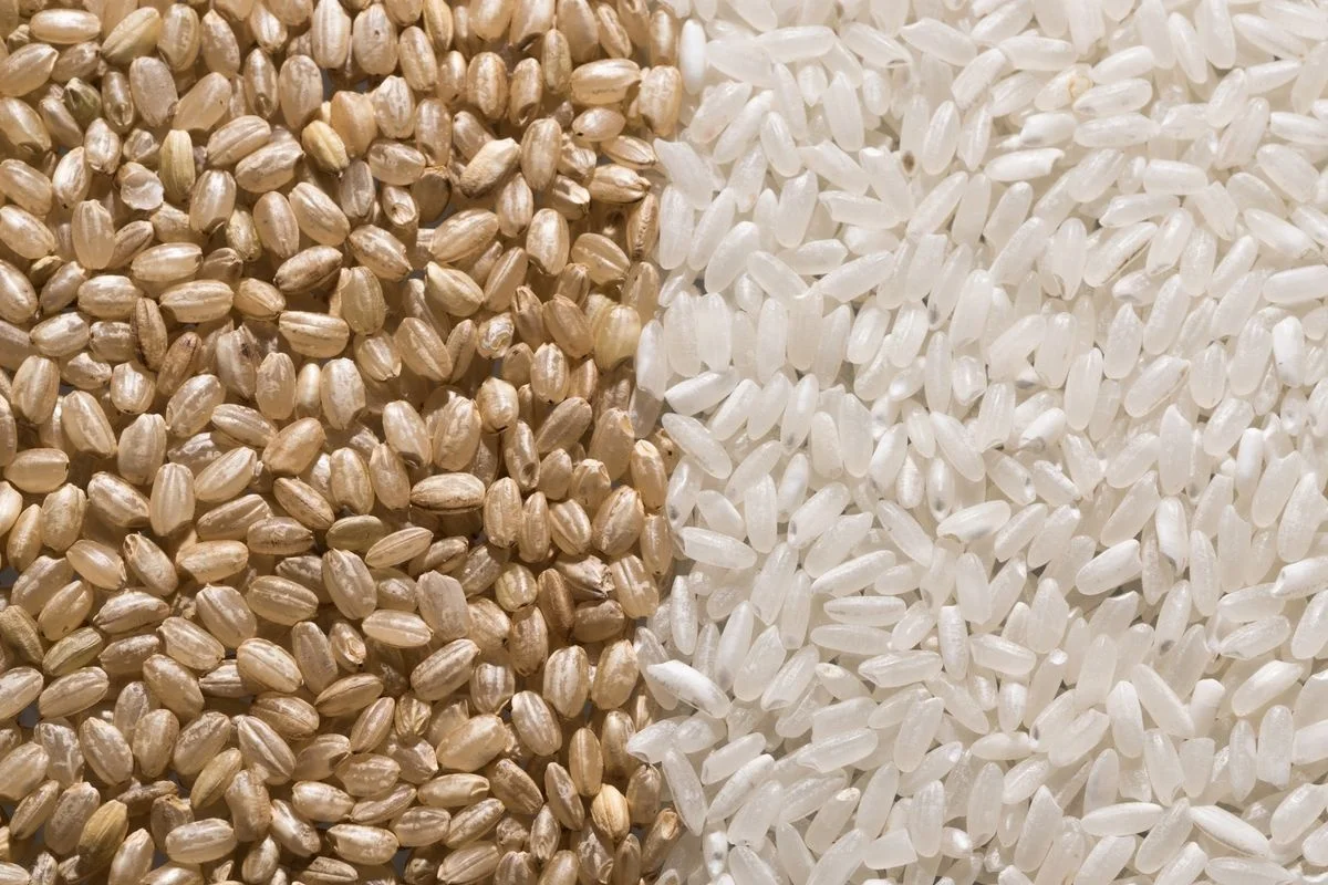 High Quality Vietnam Brown Rice 5% Broken Dried and Soft Texture Origin Vietnam Contact +84398885178 (Jenny Doan)