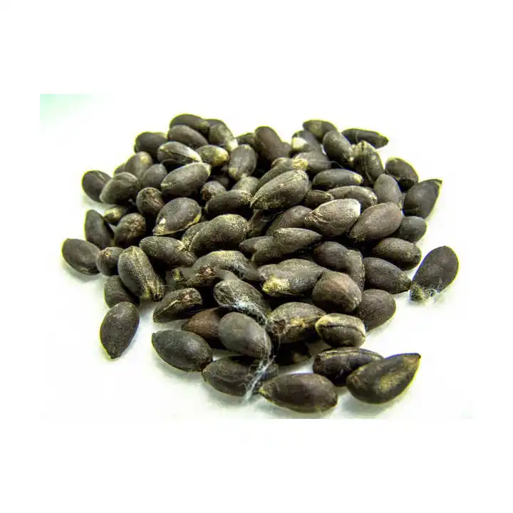 Organic cotton seed at good price