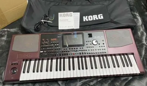 Instant Sales NEW Korg PA1000 PA800 PA700 PA600 61-Key Professional High Performance Arranger PA-1000
