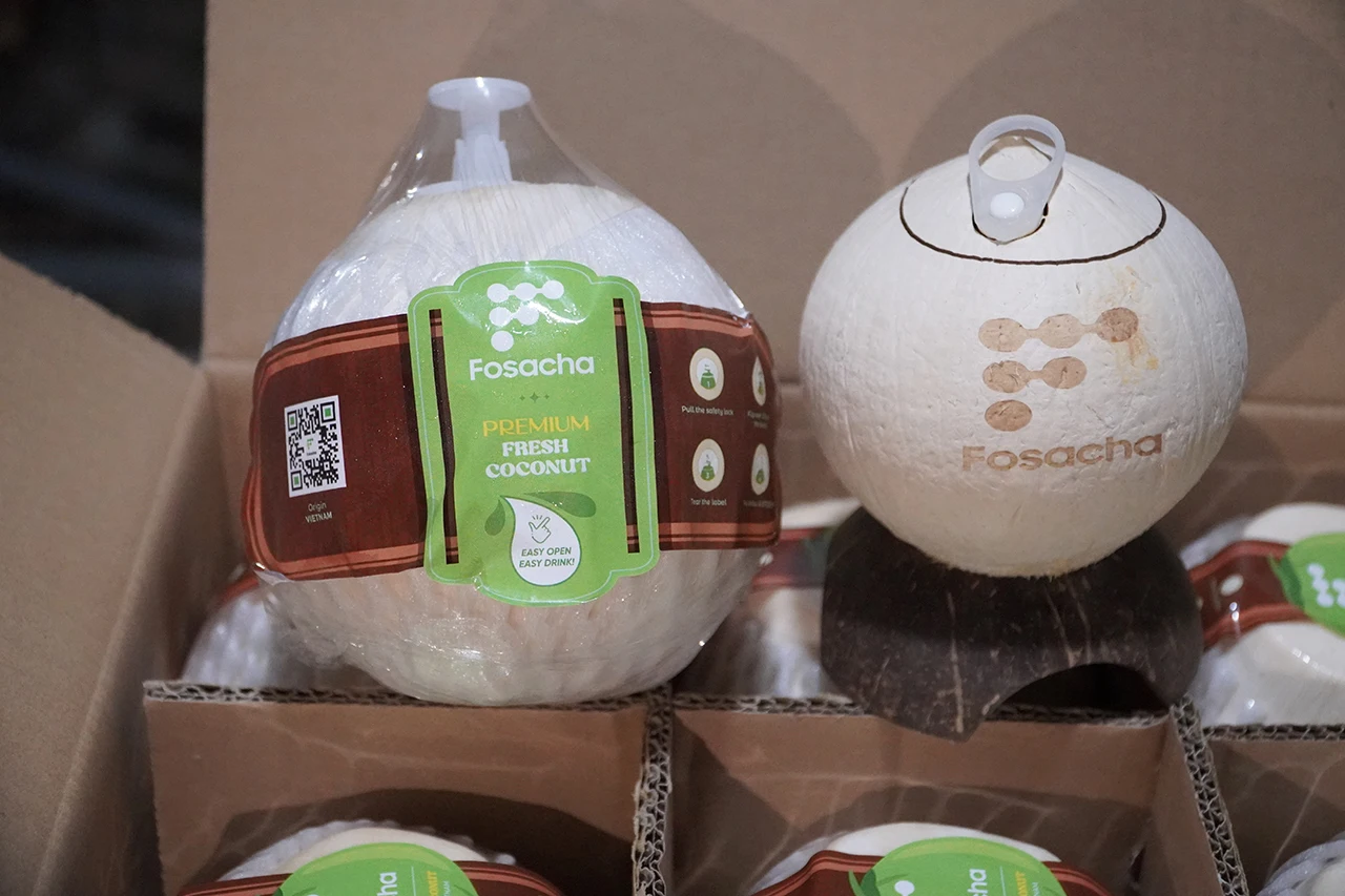 2023 HOT SELLING VIETNAM HARVESTED FRESH ORGANIC COCONUT WITH TIGHT QUALITY CONTROL