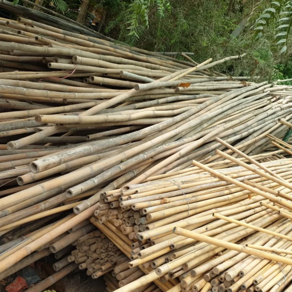 Natural Bamboo Stick For Plant/ Bamboo Stick For Supporting Flower With High Quality Bamboo in Vietnam Made by Eco2go