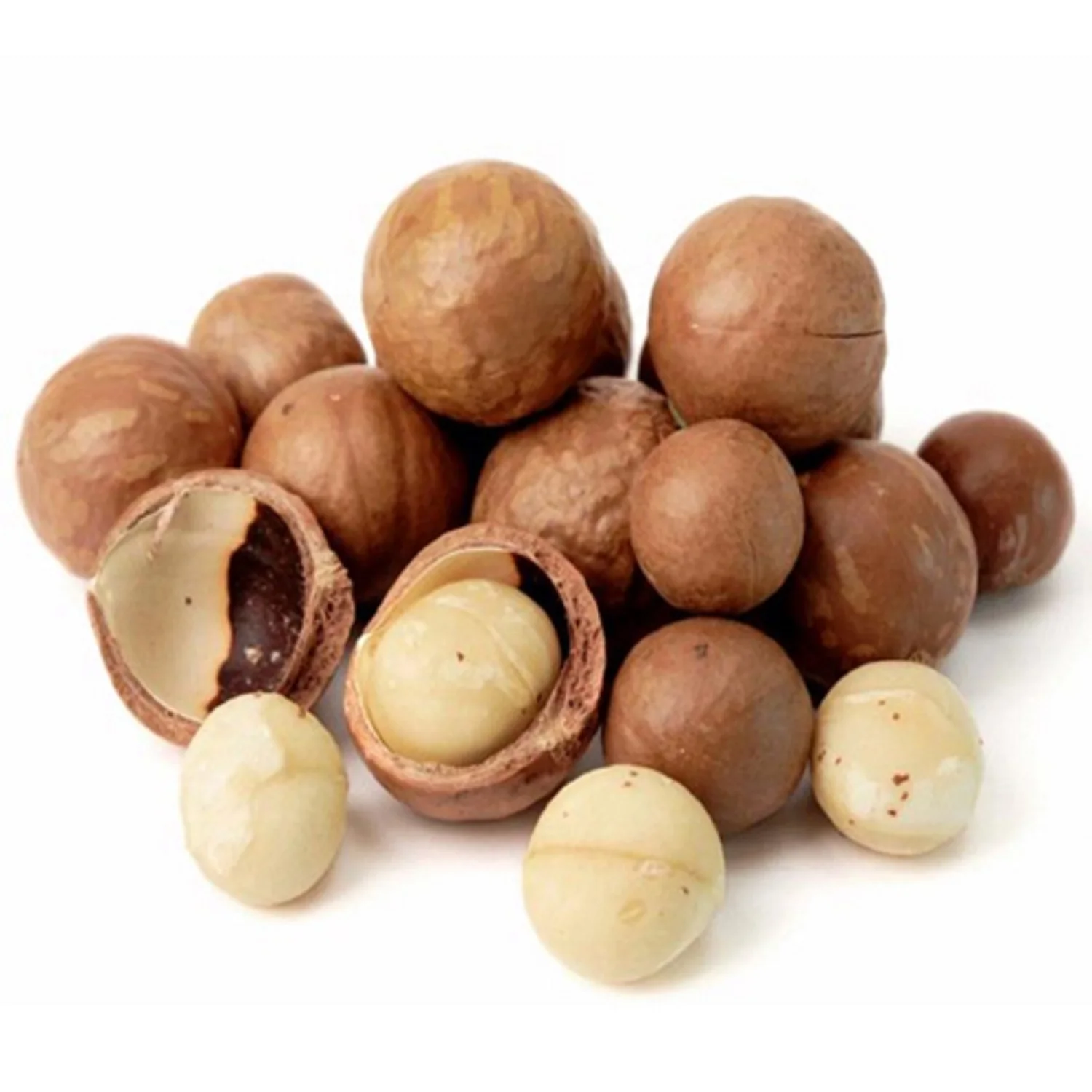 100% Natural Premium Quality Dried Roasted Macadamia nuts