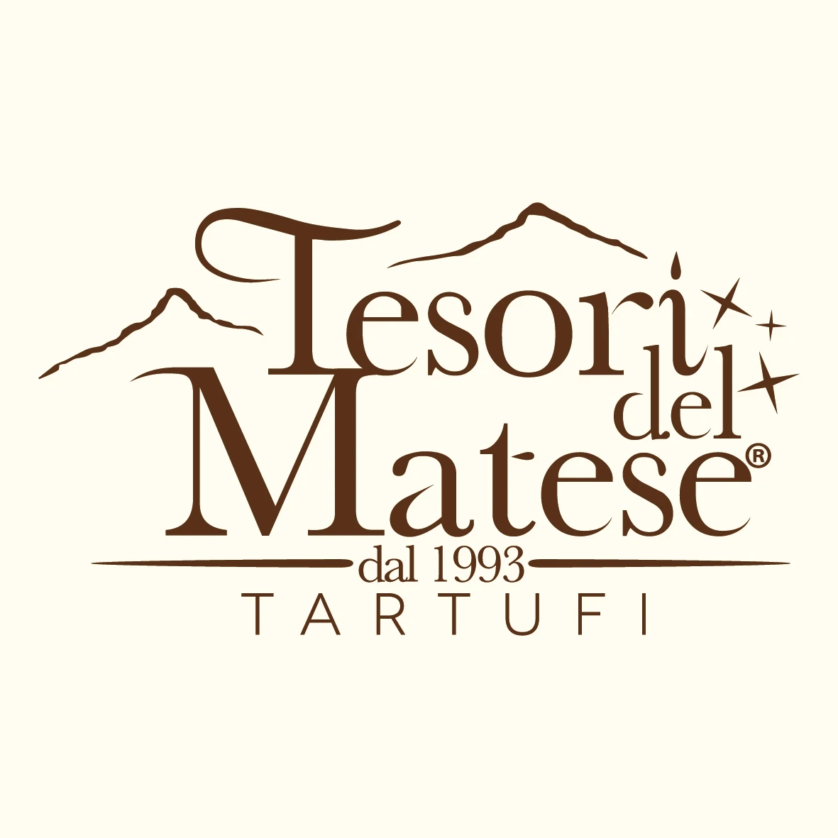 Luxury Natural Black Truffle Olive Oil 500 ml Bottle with Glass Packaging Made in Italy for Enriching Your Dishes Wholesale