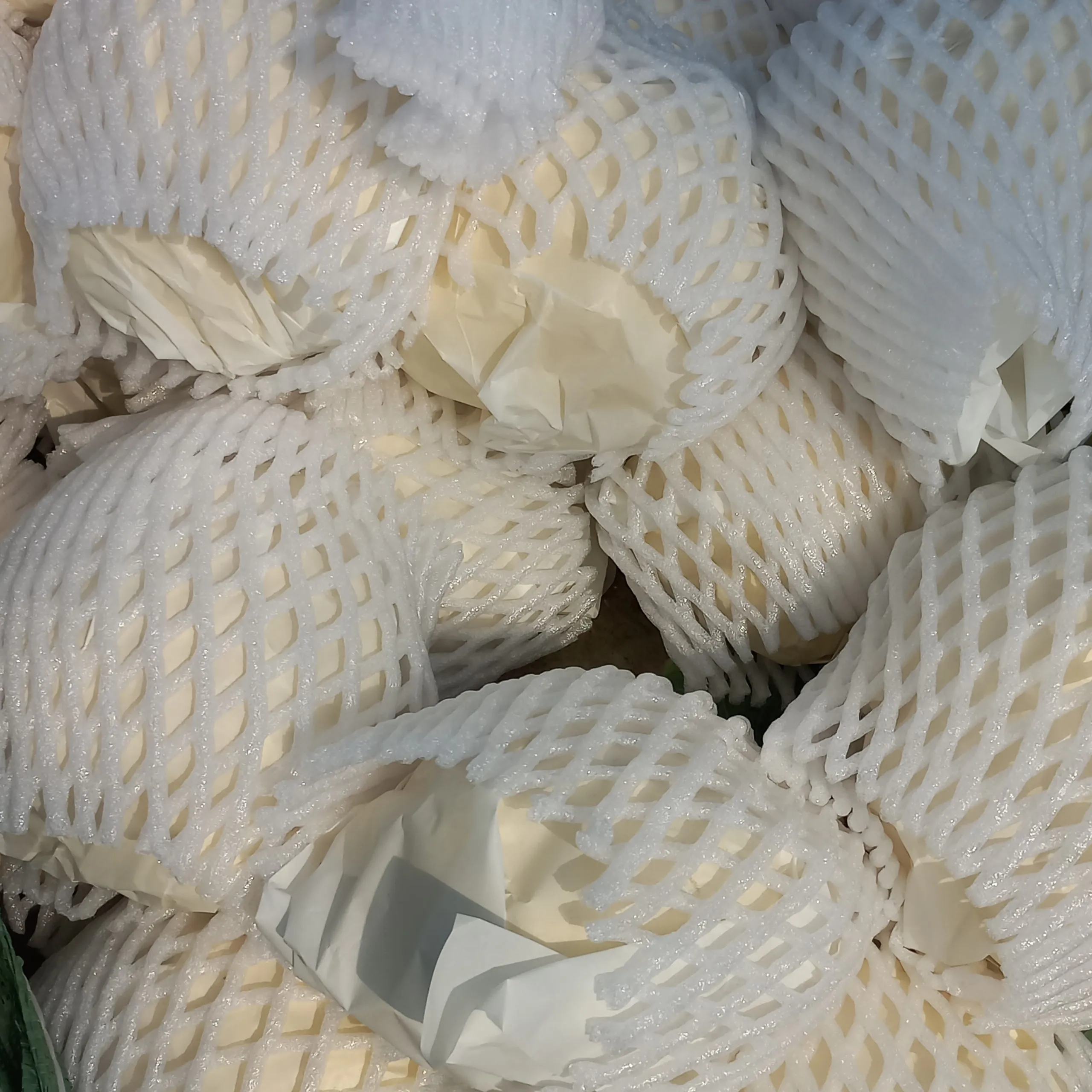 Export Quality Fresh Cauliflower from Gold Vietnamese Supplier with Typical Taste and Color