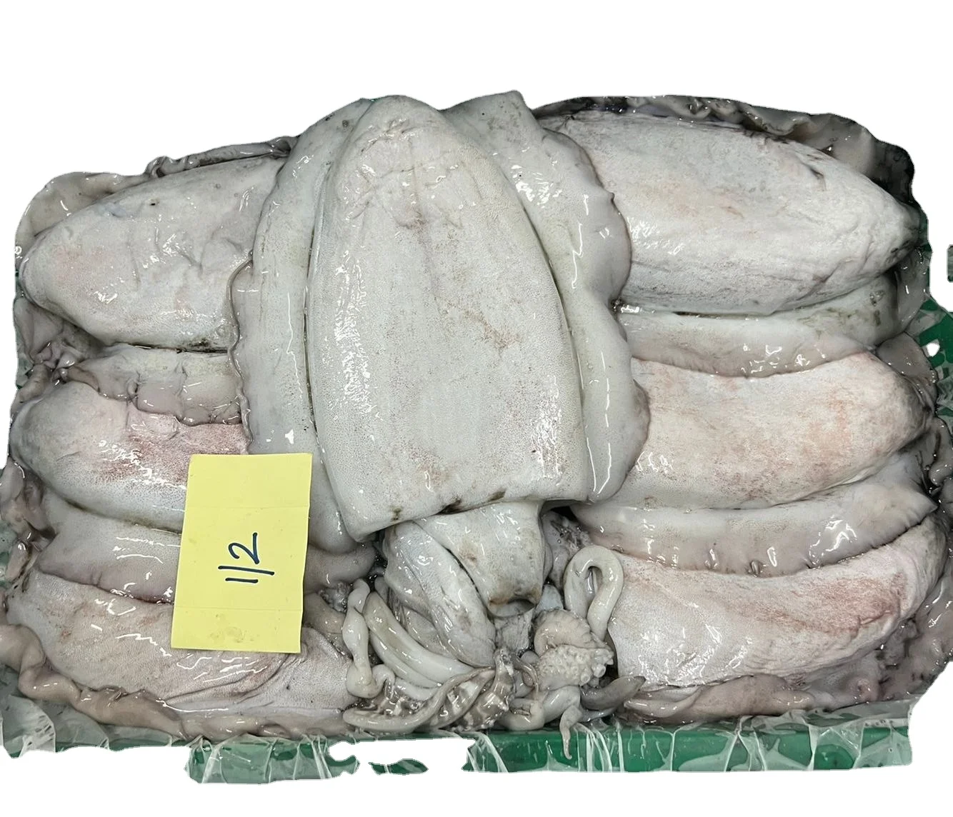 FROZEN CUTTLEFISH GOOD QUALITY OMAN ORIGIN